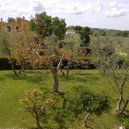 Il Punto Verde Sant'Antonio  Exterior photo