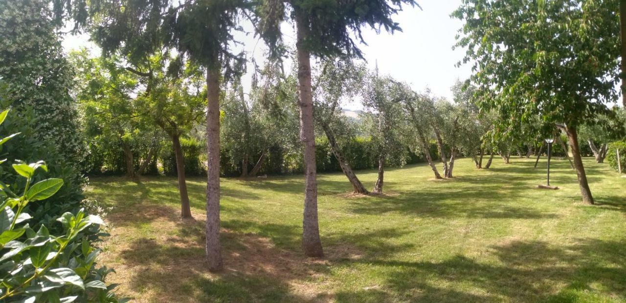 Il Punto Verde Sant'Antonio  Exterior photo